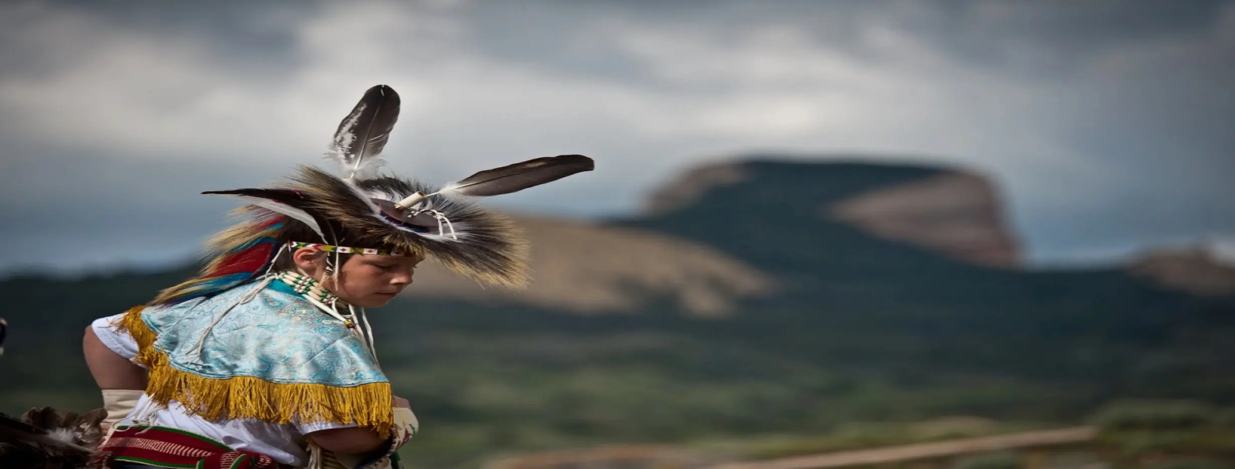 Image for Native American Heritage
